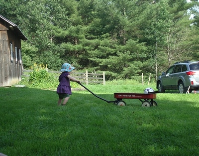 Wagon.jpeg