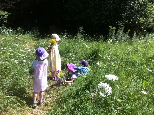 MeadowWalk.jpg