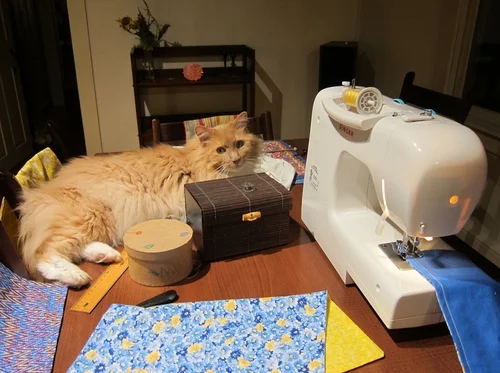 AlfredCatSewing.jpg