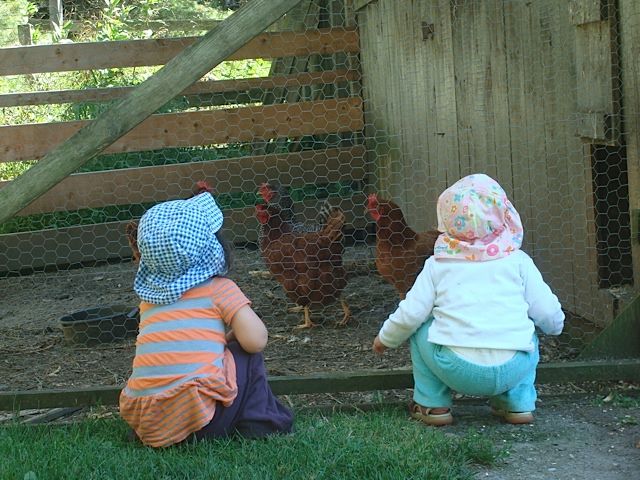 CousinsChicken2.jpeg