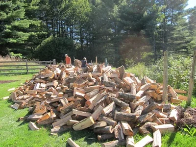 Wood.jpeg