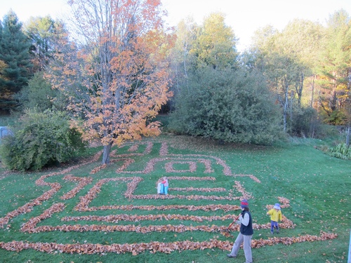 LeafMaze.jpeg