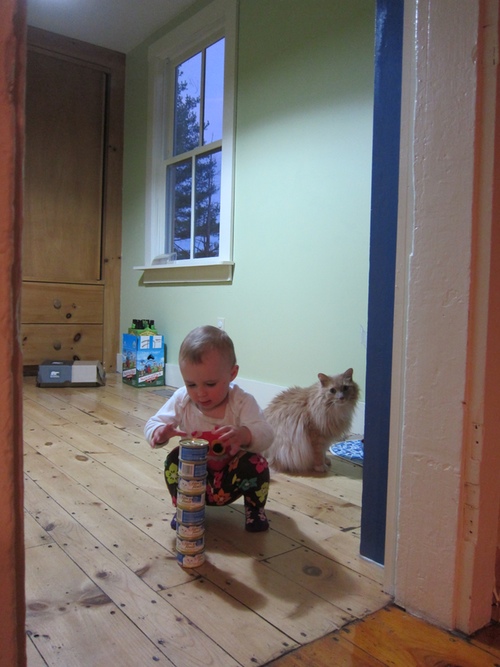 CatFoodStacking.jpeg