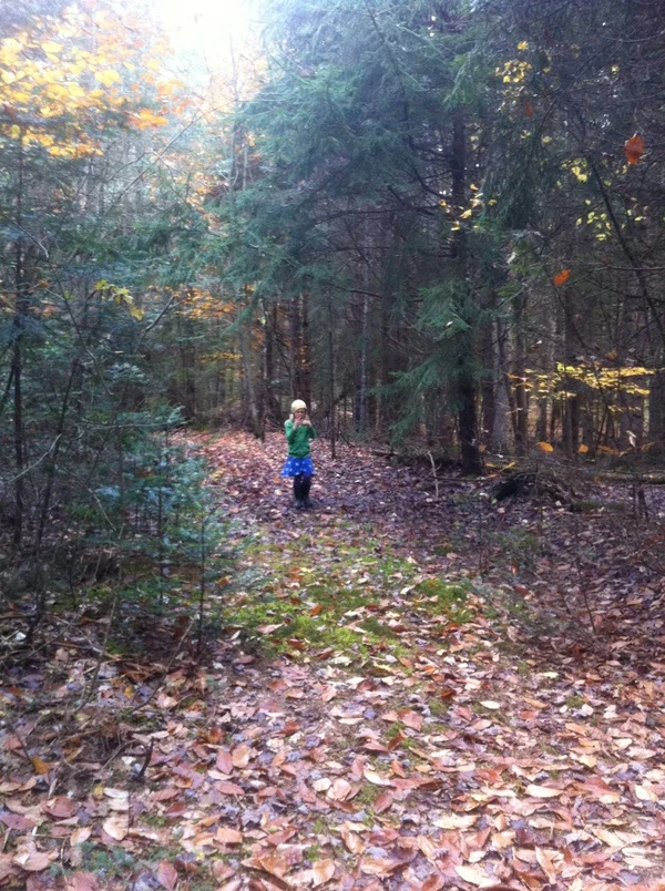 Cats Cradle in woods.jpg