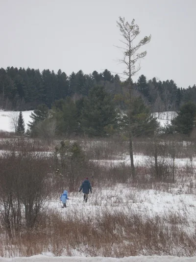 Snowshoein'.jpg