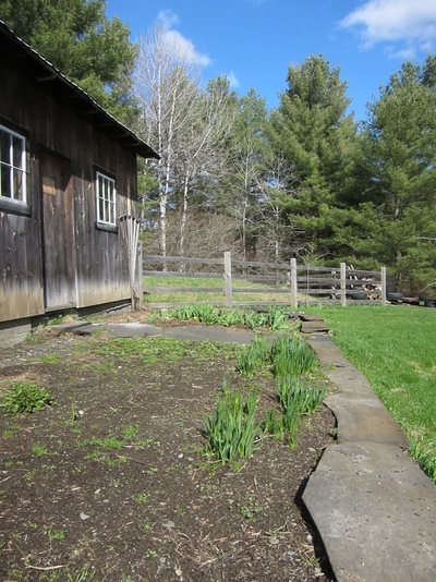 And, last but not least, the barn garden. Any day now this will be a patch of my all time favorites: daffodils. Then it will become the kids' garden space. Katherine wants to grow yellow peppers and pumpkins. 