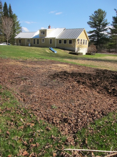 The big old garden bed that I have been slowly weeding and turning over. 