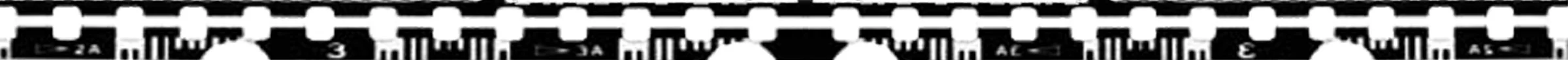 Switchback Header3.jpg