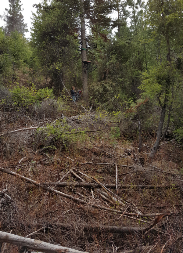 A view from "Bear Level" at the bait