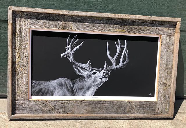 Finished framing my @joelpilch &ldquo;Dominance&rdquo; print!  He is an amazing artist and if you have not already, go follow him!! #switchbackoutdoors #muledeer
