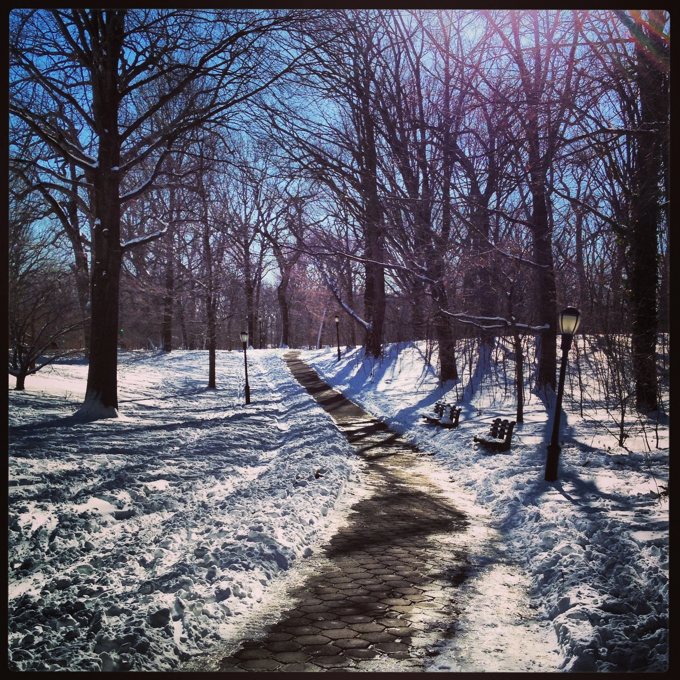 Prospect Park