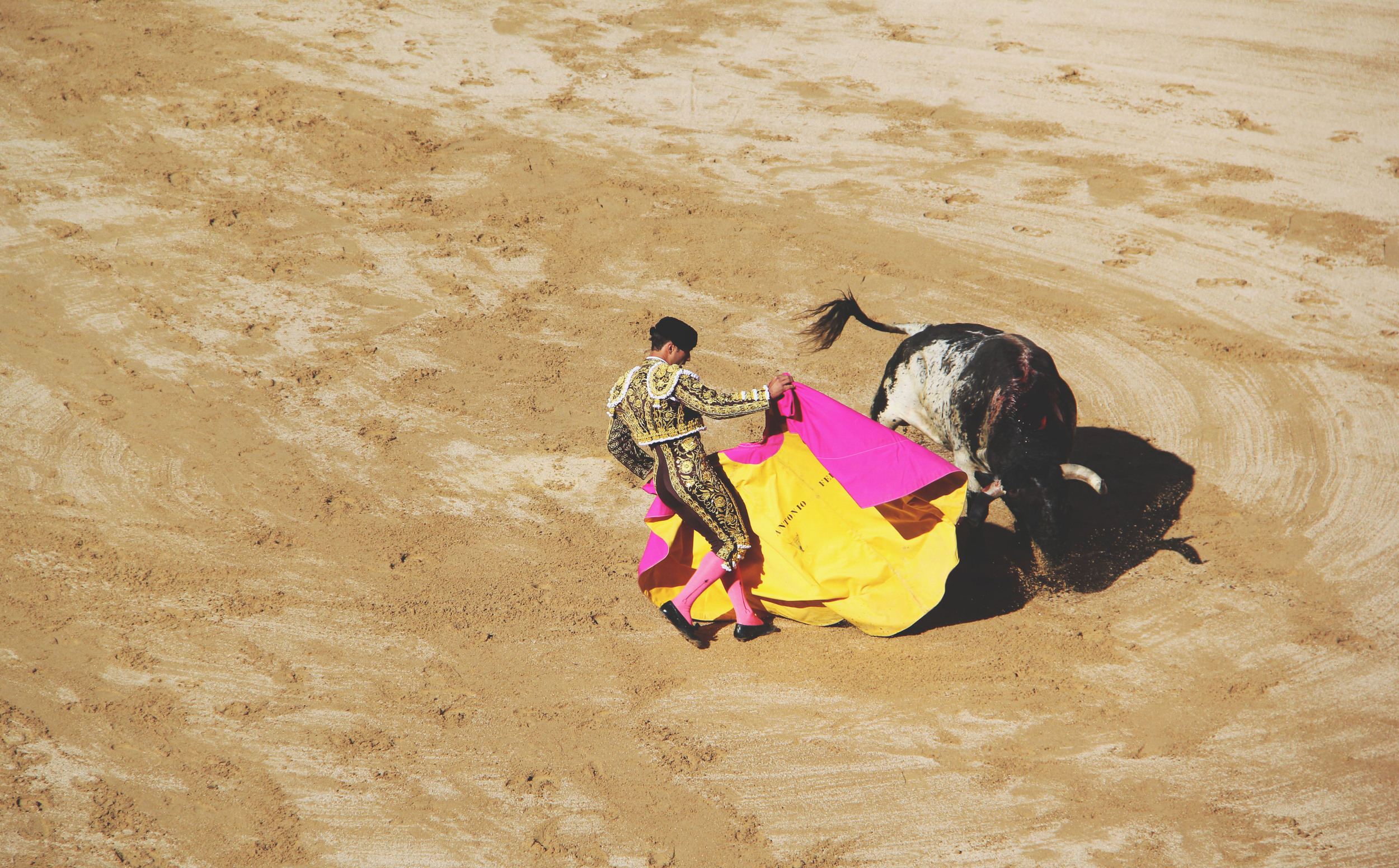 BullFight_12.jpg