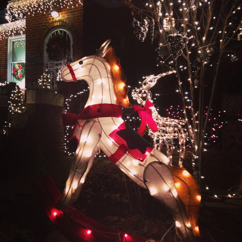 Dyker Heights XMas Lights