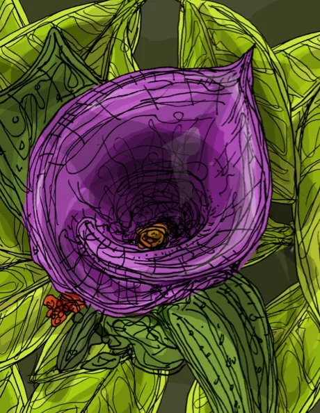 Purple Flower