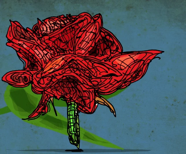 Rose
