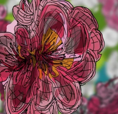 Pink Flower 'B'