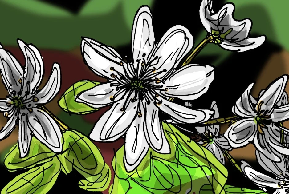FLOWERS.jpg