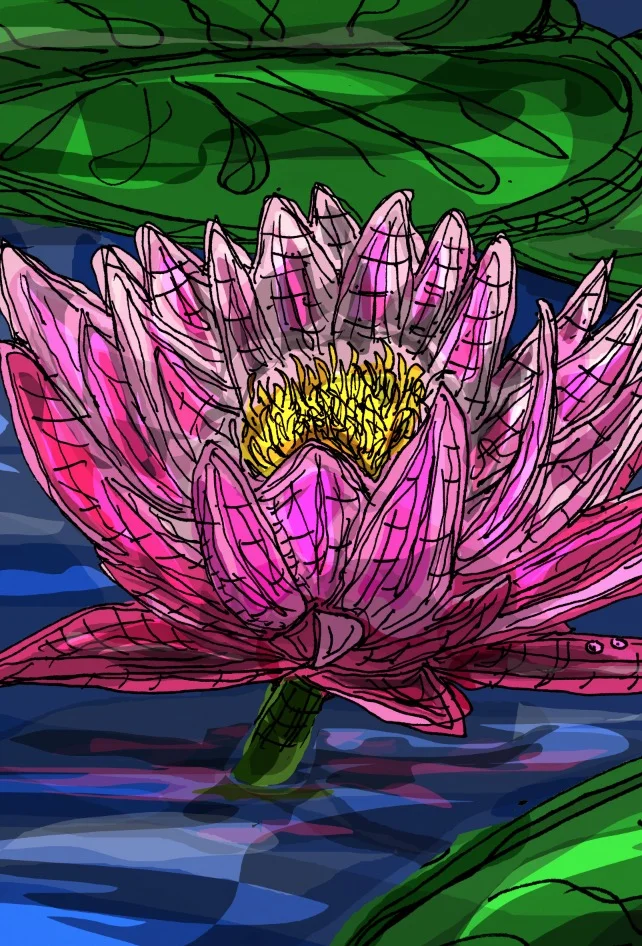 Erosner:lotus flower.jpg