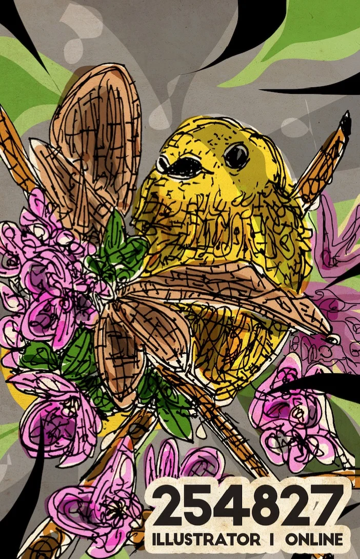 bird.jpg