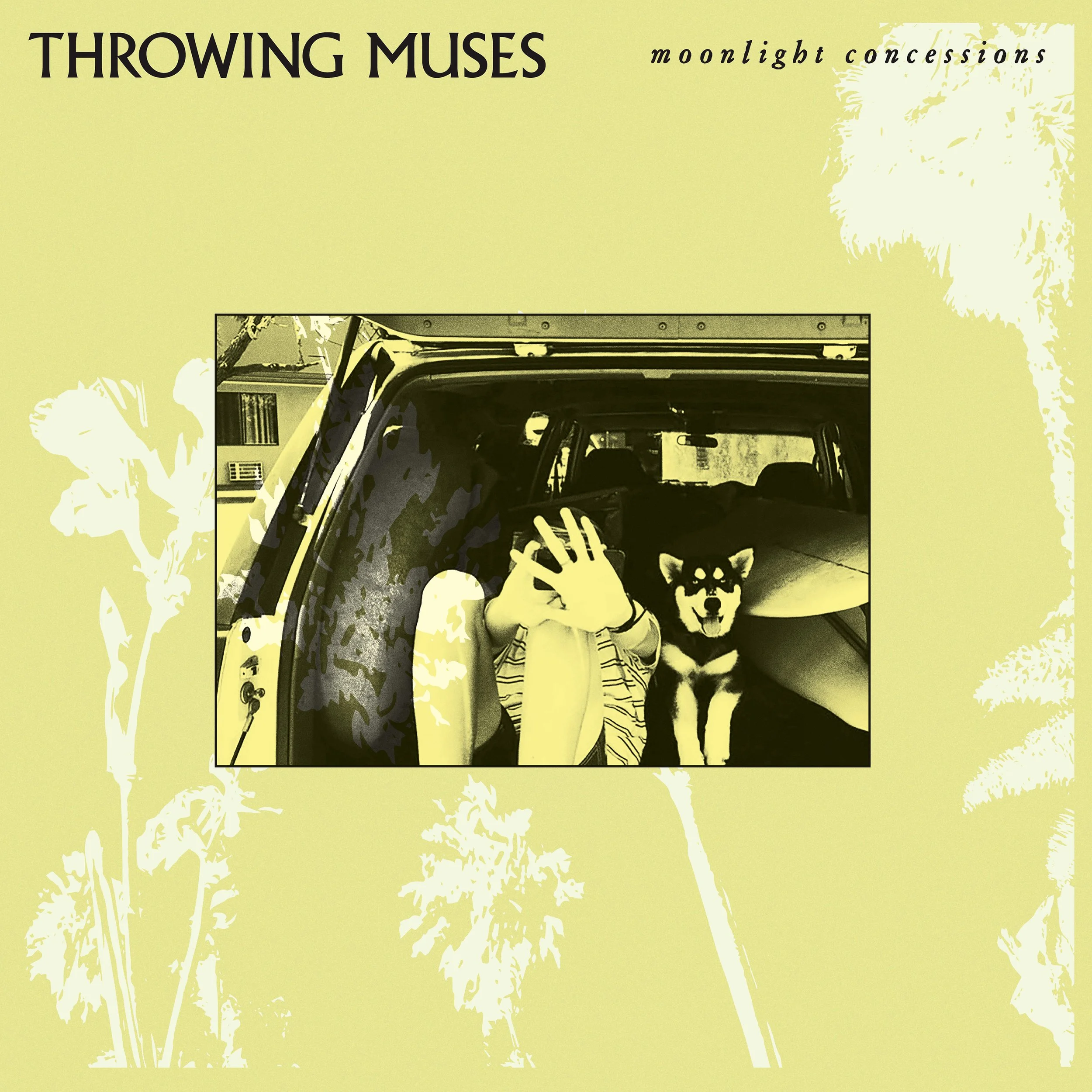 Throwing Muses - Moonlight Concessions COVER.jpg