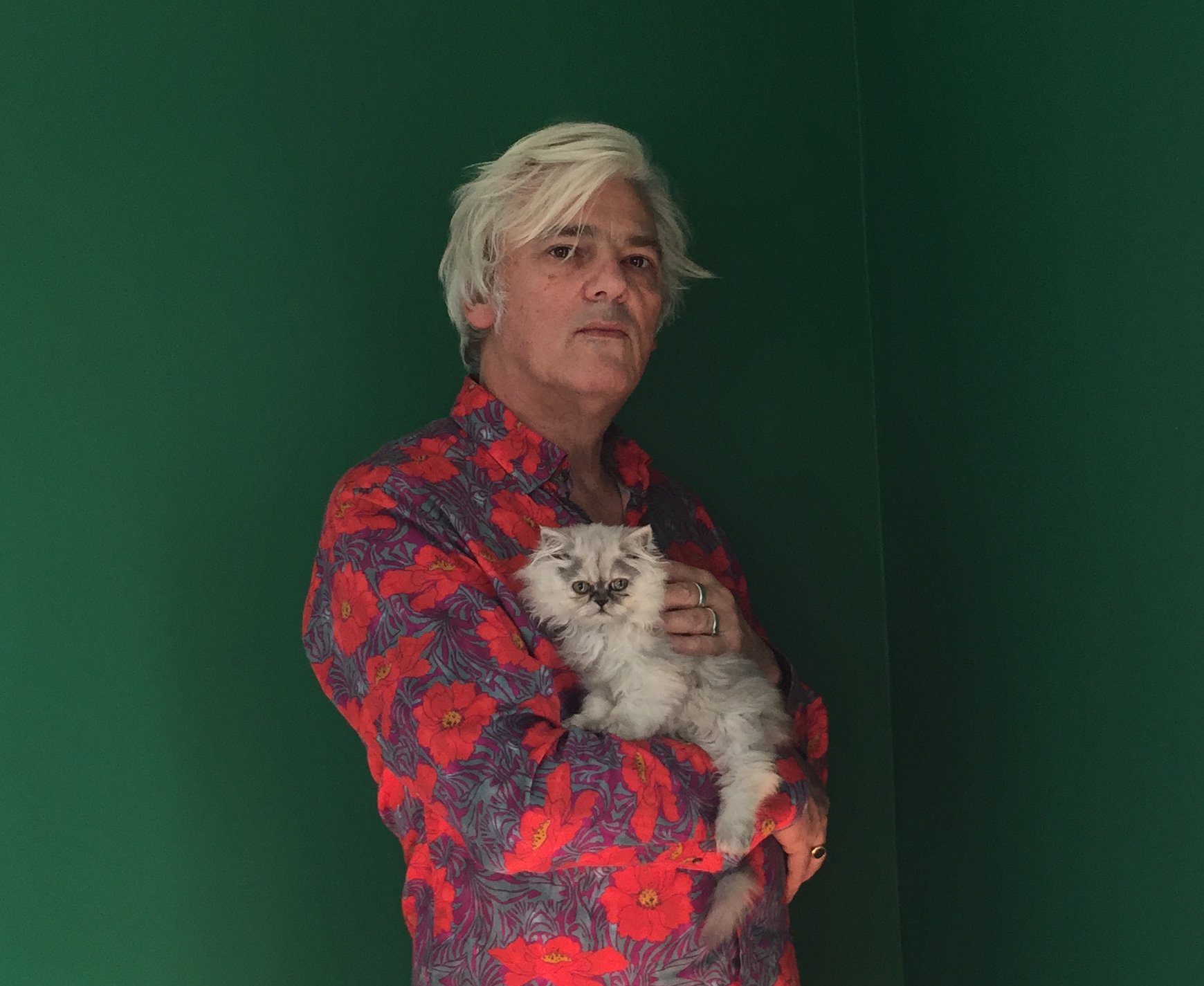 Robyn Hitchcock November.jpg