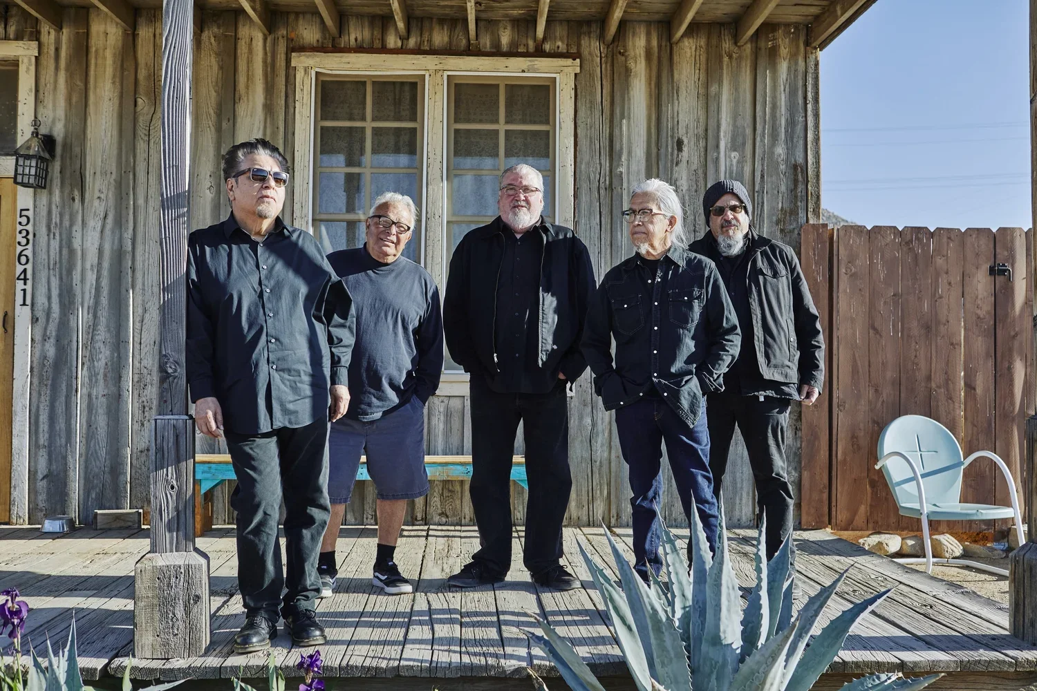 Los+Lobos+_desert+_+Piero+F+Giunt_Press+1.webp