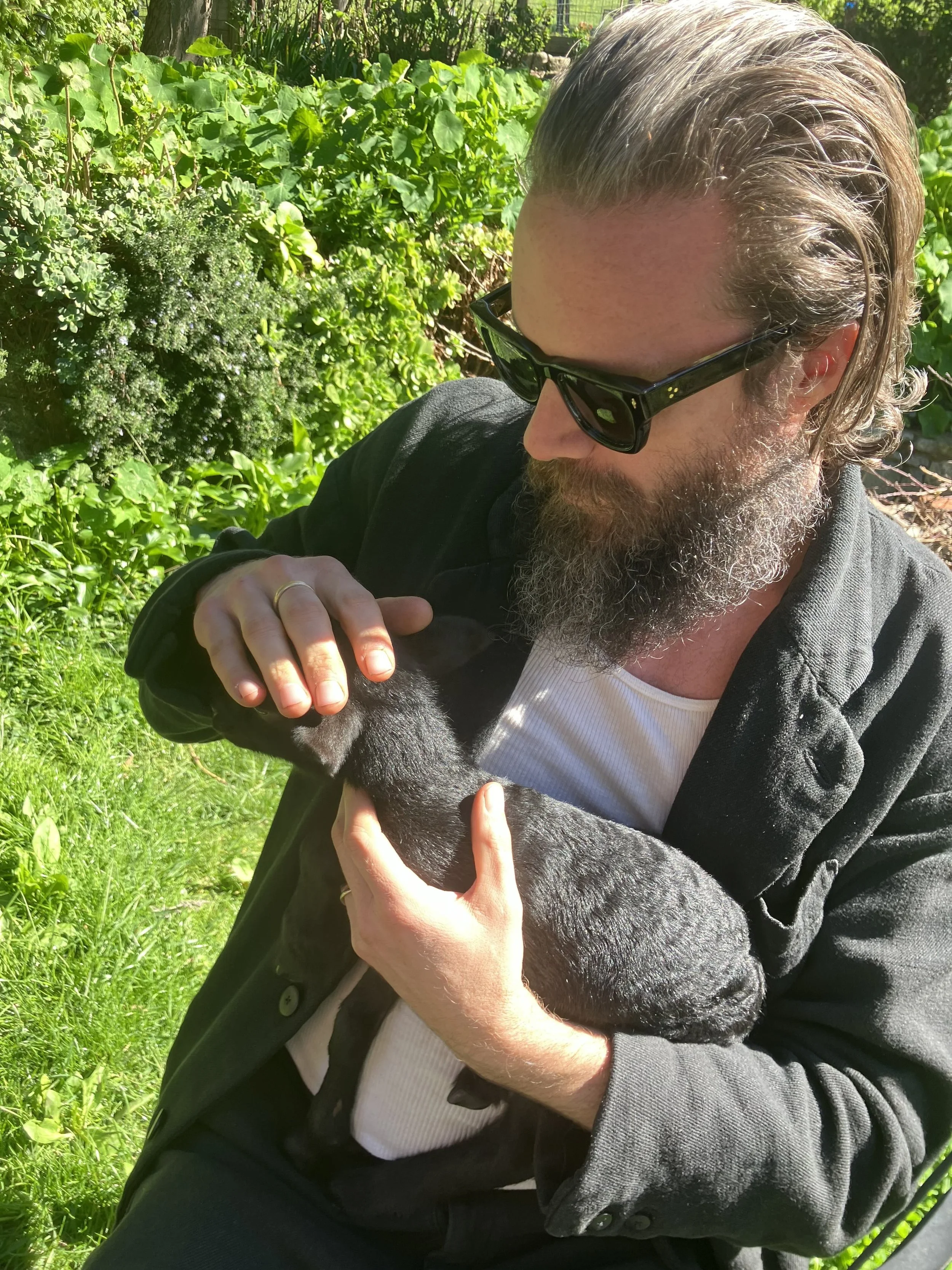 FJM-lamb.jpg