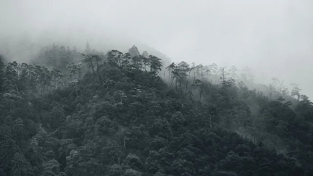 Mist on Mt. Misen Miyajima, Japan © Alan Wentworth