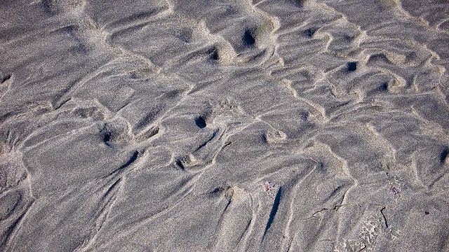 Sand Patterns II Ocean Shores, Washington © Alan Wentworth