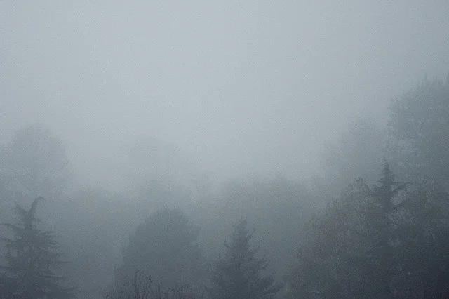 Dash Point Fog I Dash Point, Washington © Alan Wentworth