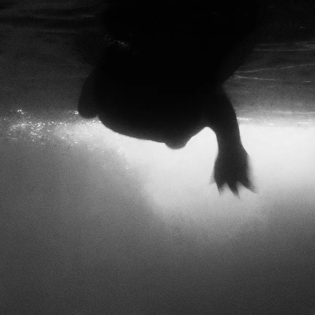 Submerge © Alan Wentworth