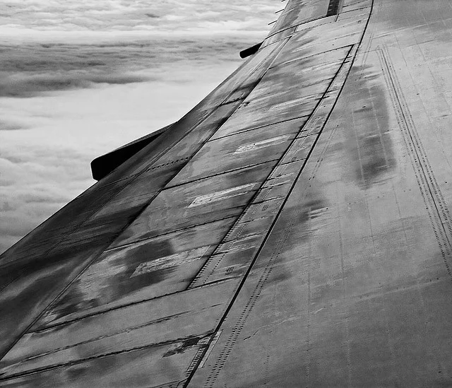 Gigantic © Alan Wentworth