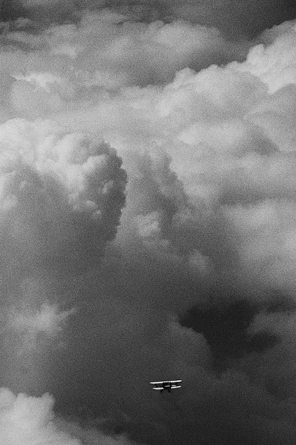 Solo © Alan Wentworth