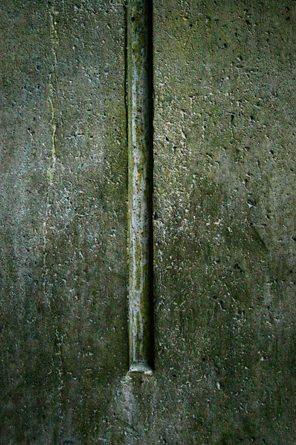 Groove Seattle, Washington © Alan Wentworth