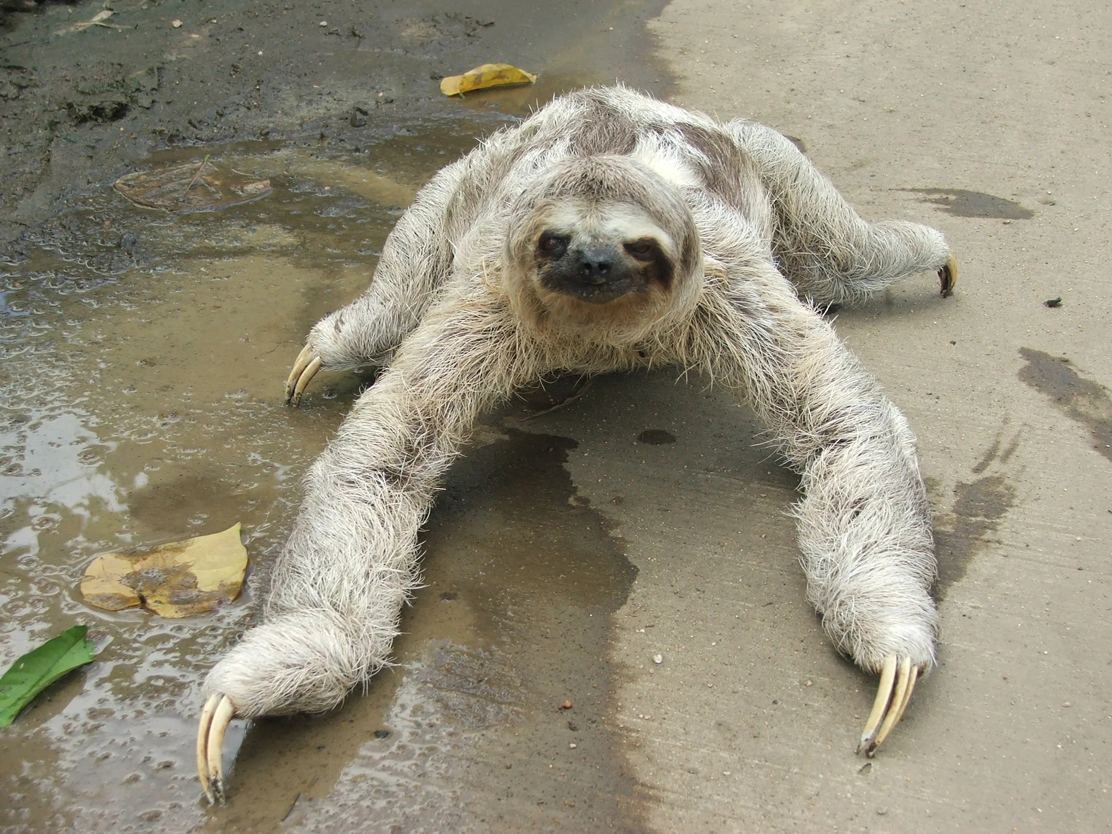 Welcome to the new website