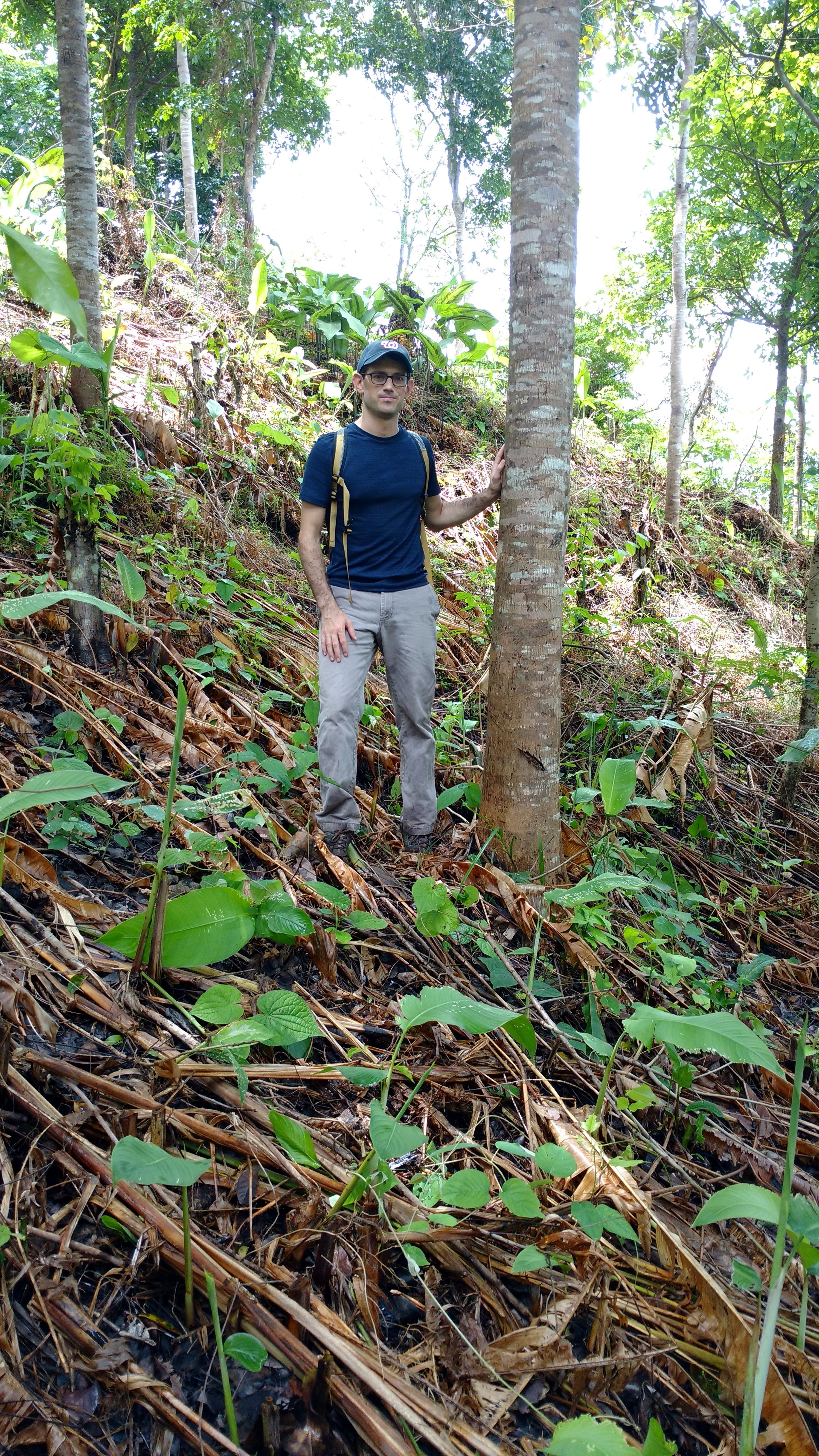  Andrew with a 10 year old mahogany tree in Chico's finca in Nuevo Paraiso 