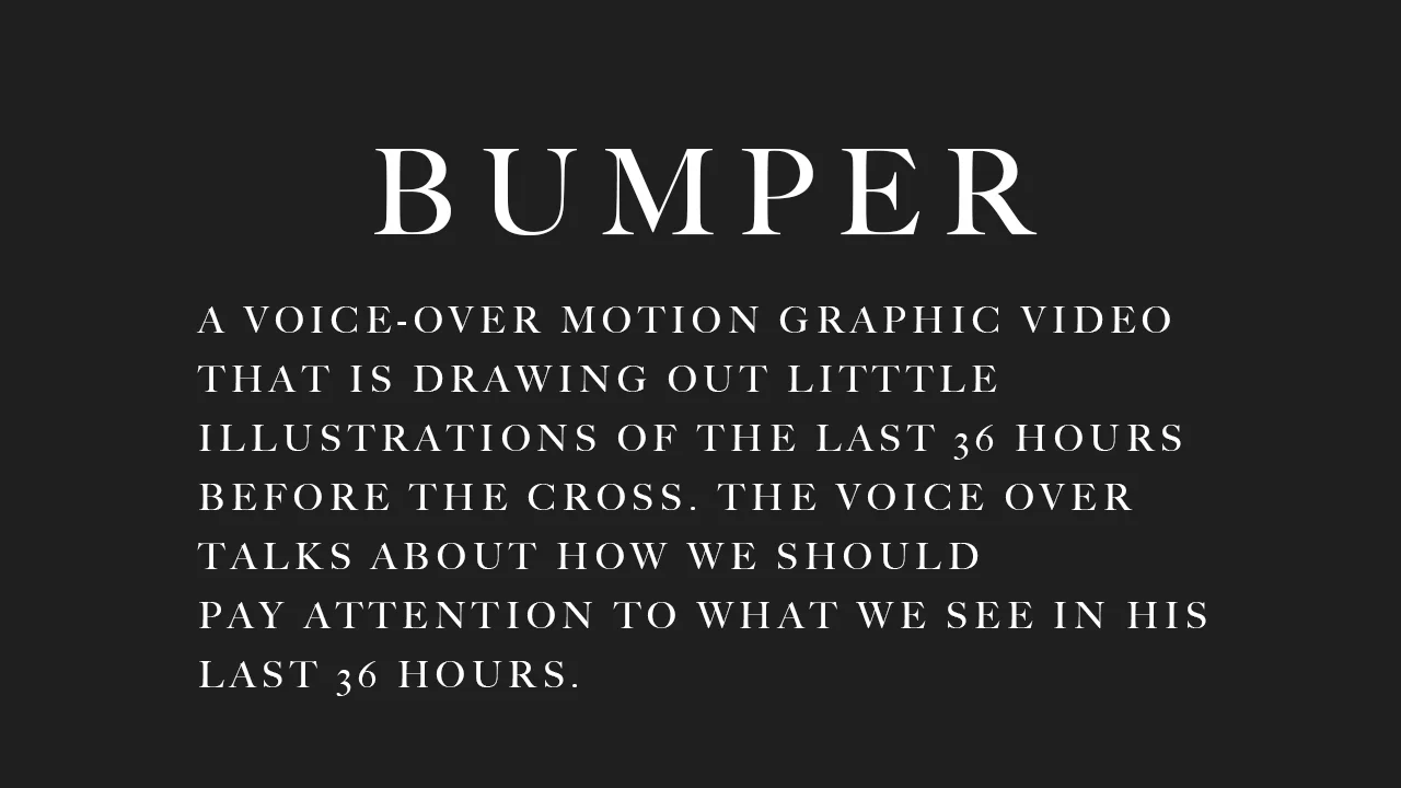 bumper222.jpg