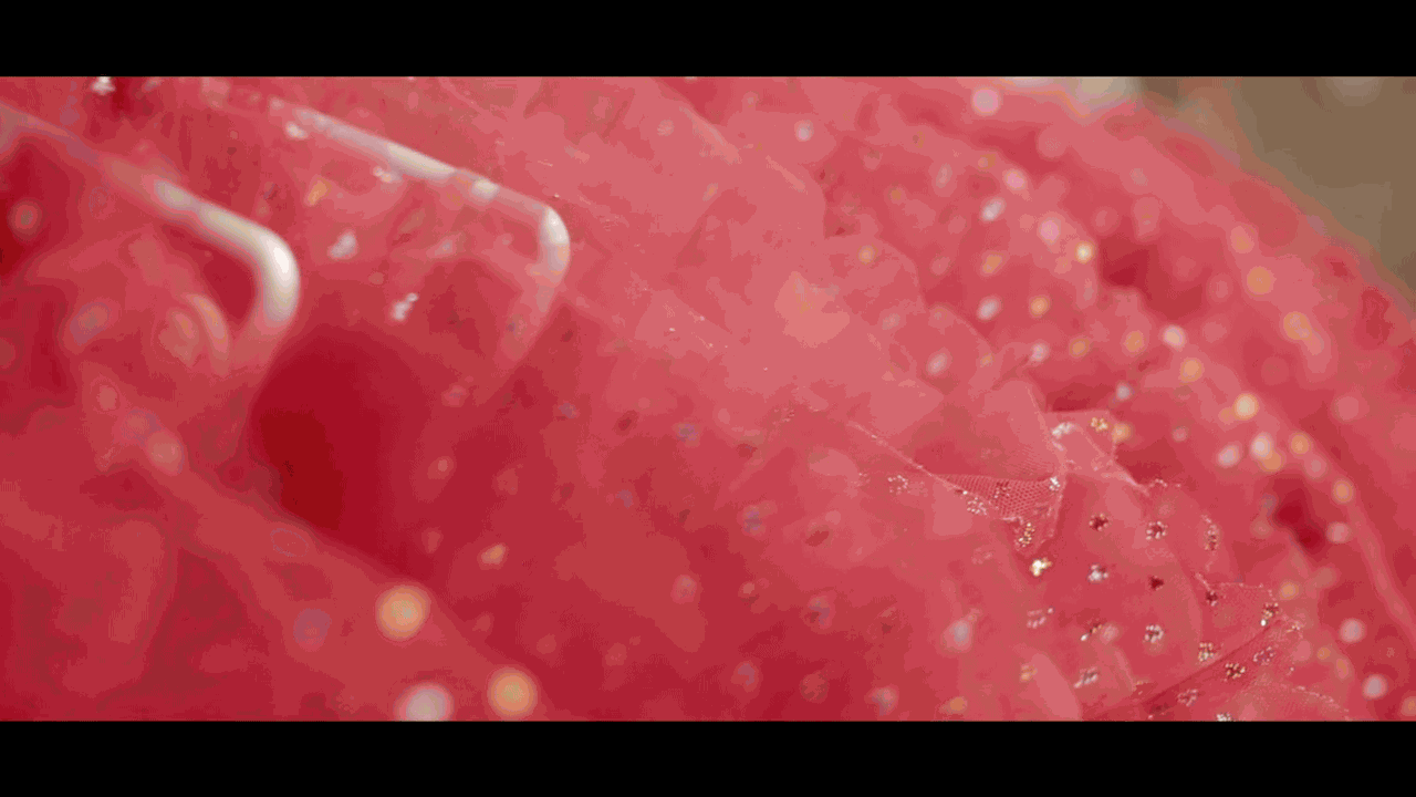 The Making of Ballet West's Firebird Tutu