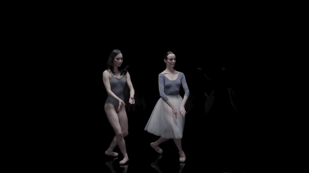 The Australian Ballet: A Year of Beauty