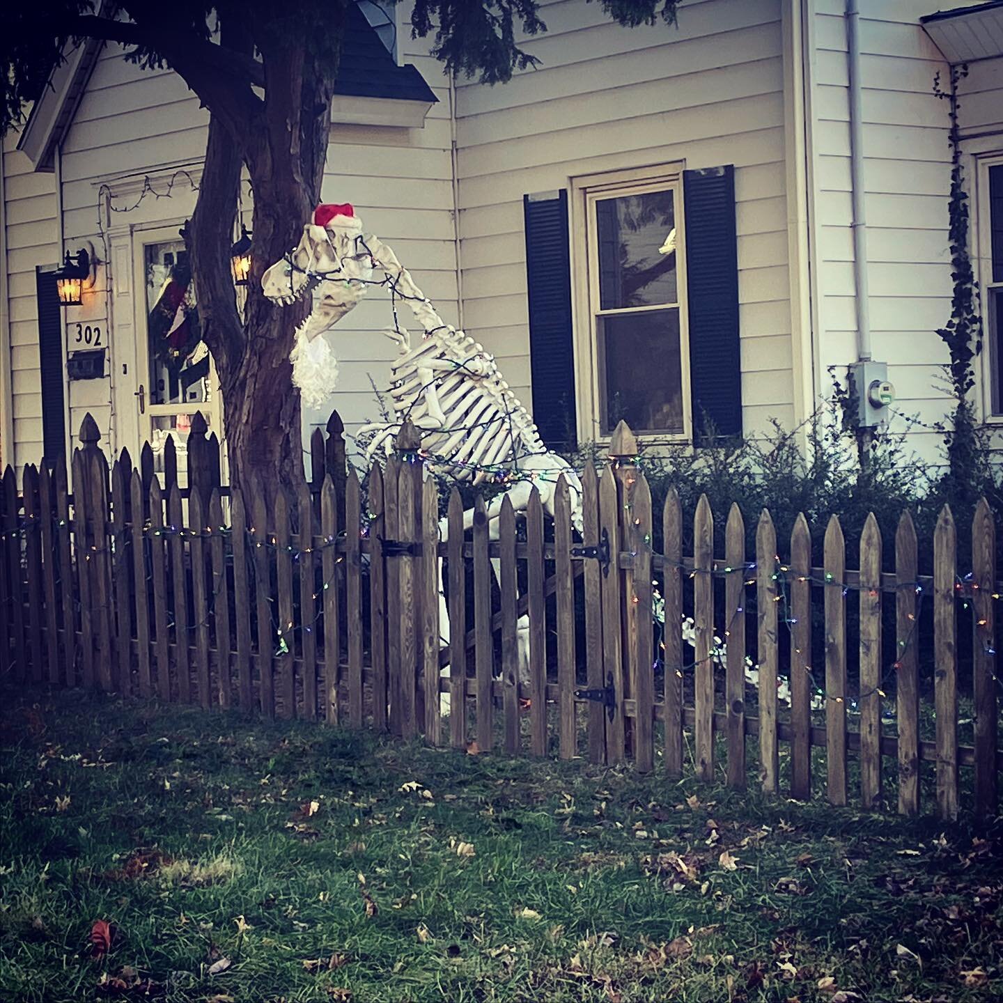 Saw this in my hood today while running errands. Yes, that&rsquo;s a life size Dino skeleton with Christmas lights, Santa hat and beard. Must return at night to witness it lit up.