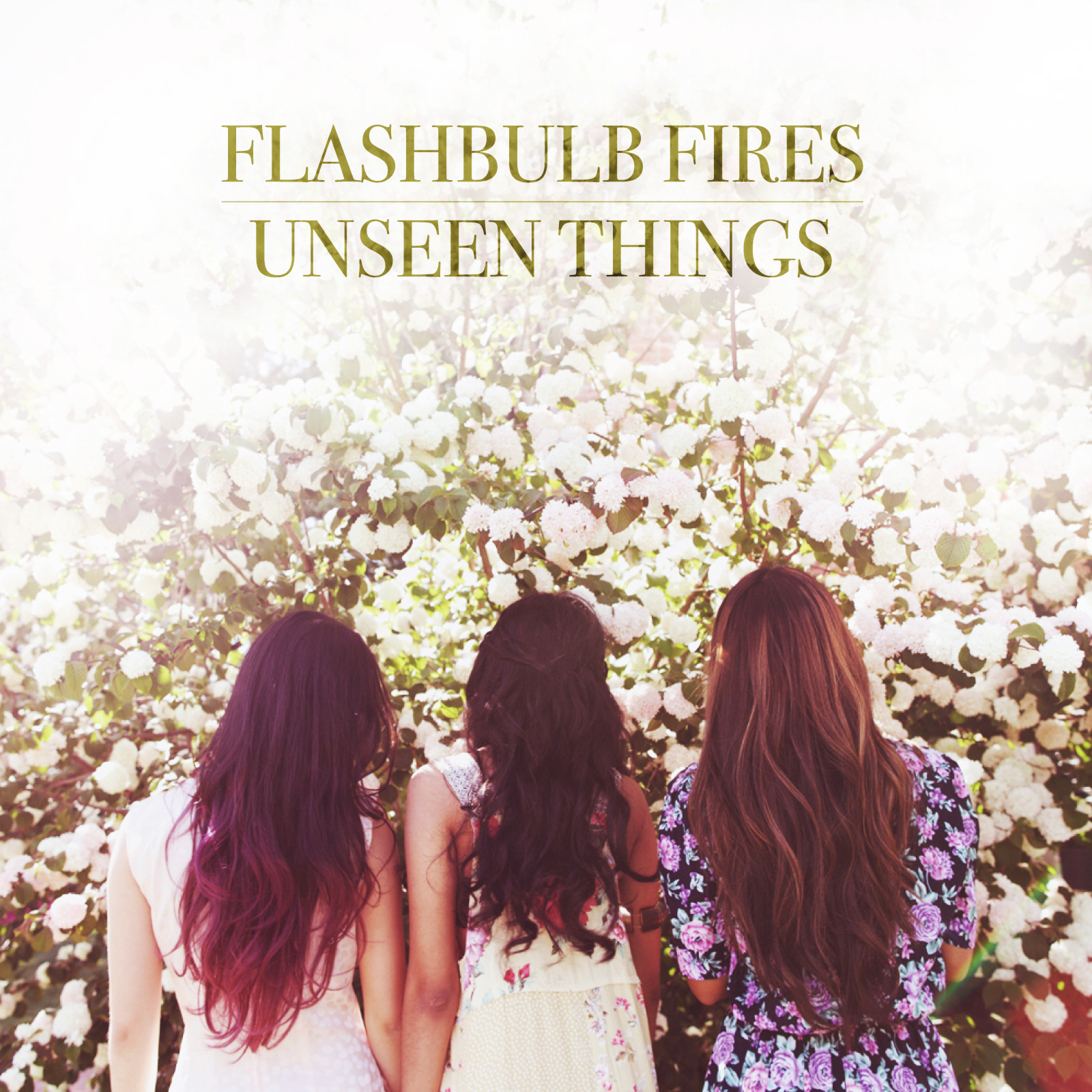 Unseen Things Cover.jpg