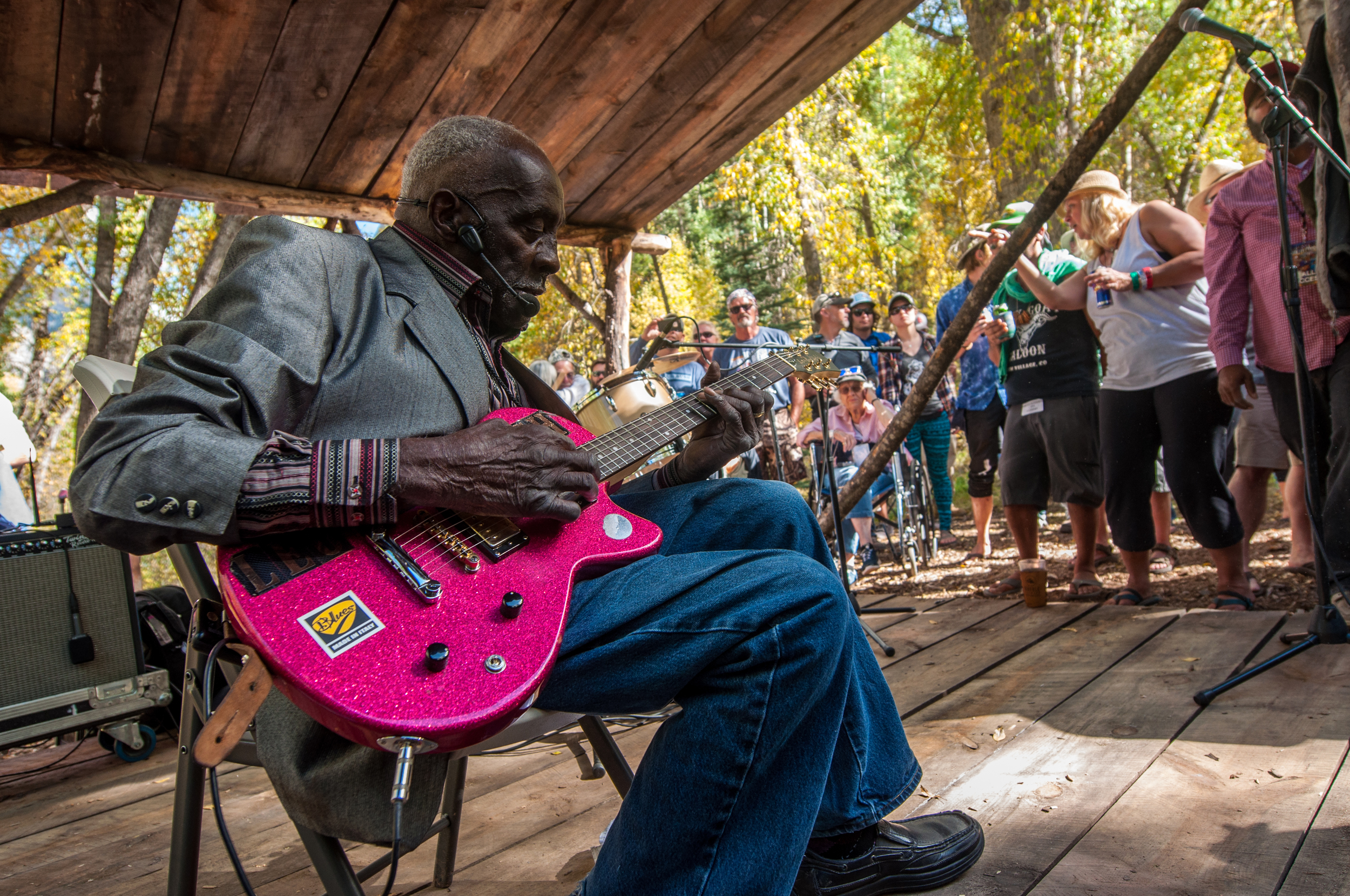 Blues and Brews (21) Leo Bud Welch.jpg