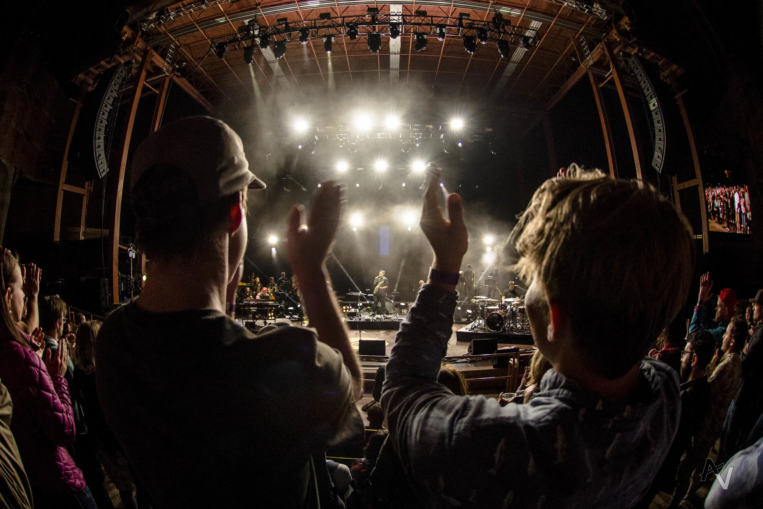 Bonobo (Photo Credit: Austin Voldseth)