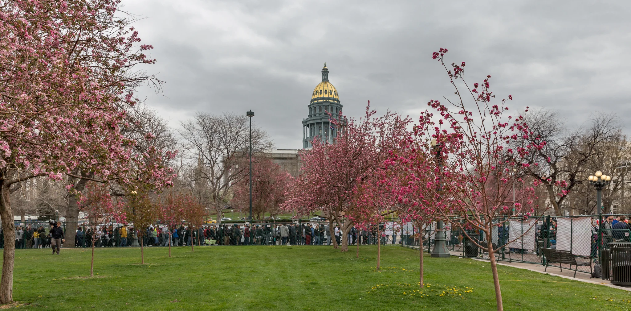 Mile High 420 Festival Civic Center Park Nikki A. Rae Photography 04.20.2018-61.jpg