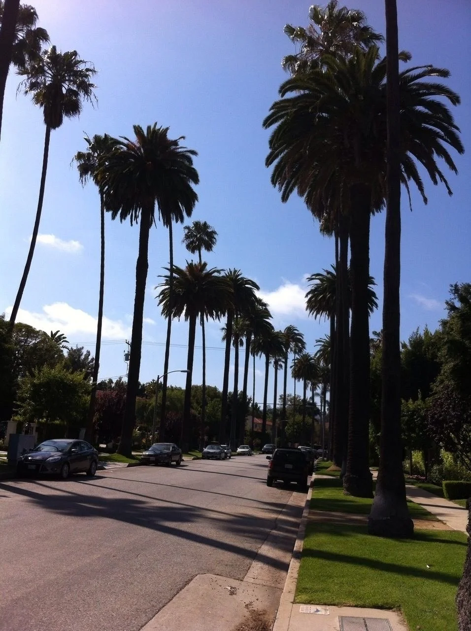 This is a very typical street in Beverly Hills - we see them on the TV shows all the time!