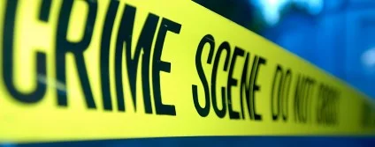 Crime Thriller Fella Review