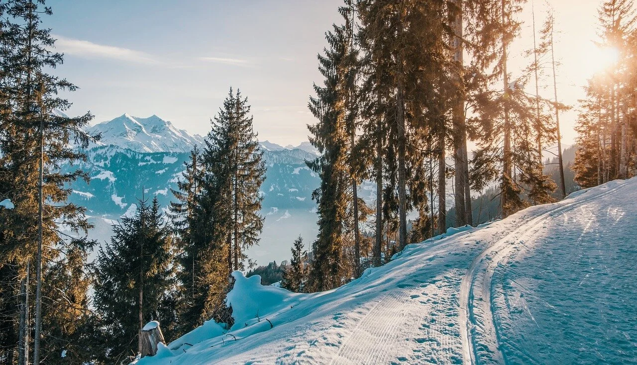 Winter Activities In Colorado Springs Enjoy The Cold Colorado Springs