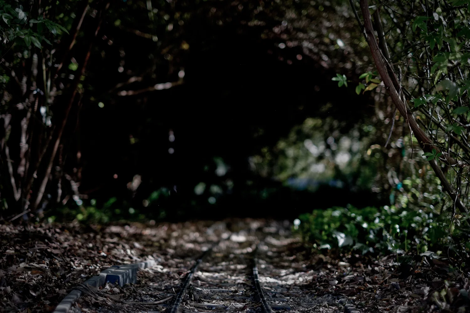 032313_49.jpg