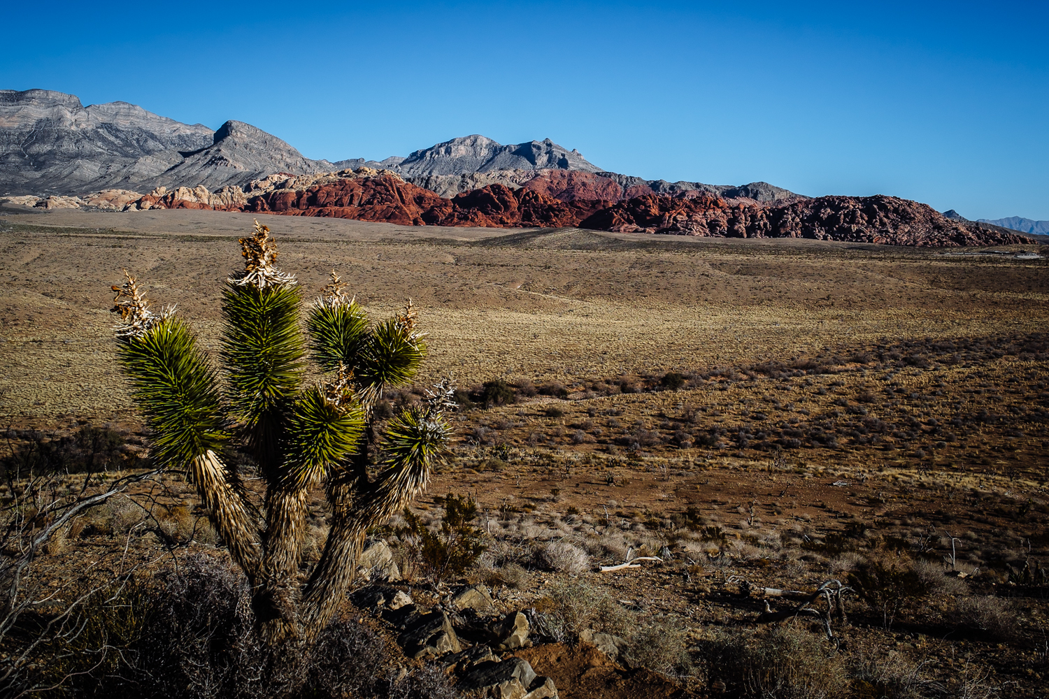 011214_67.jpg