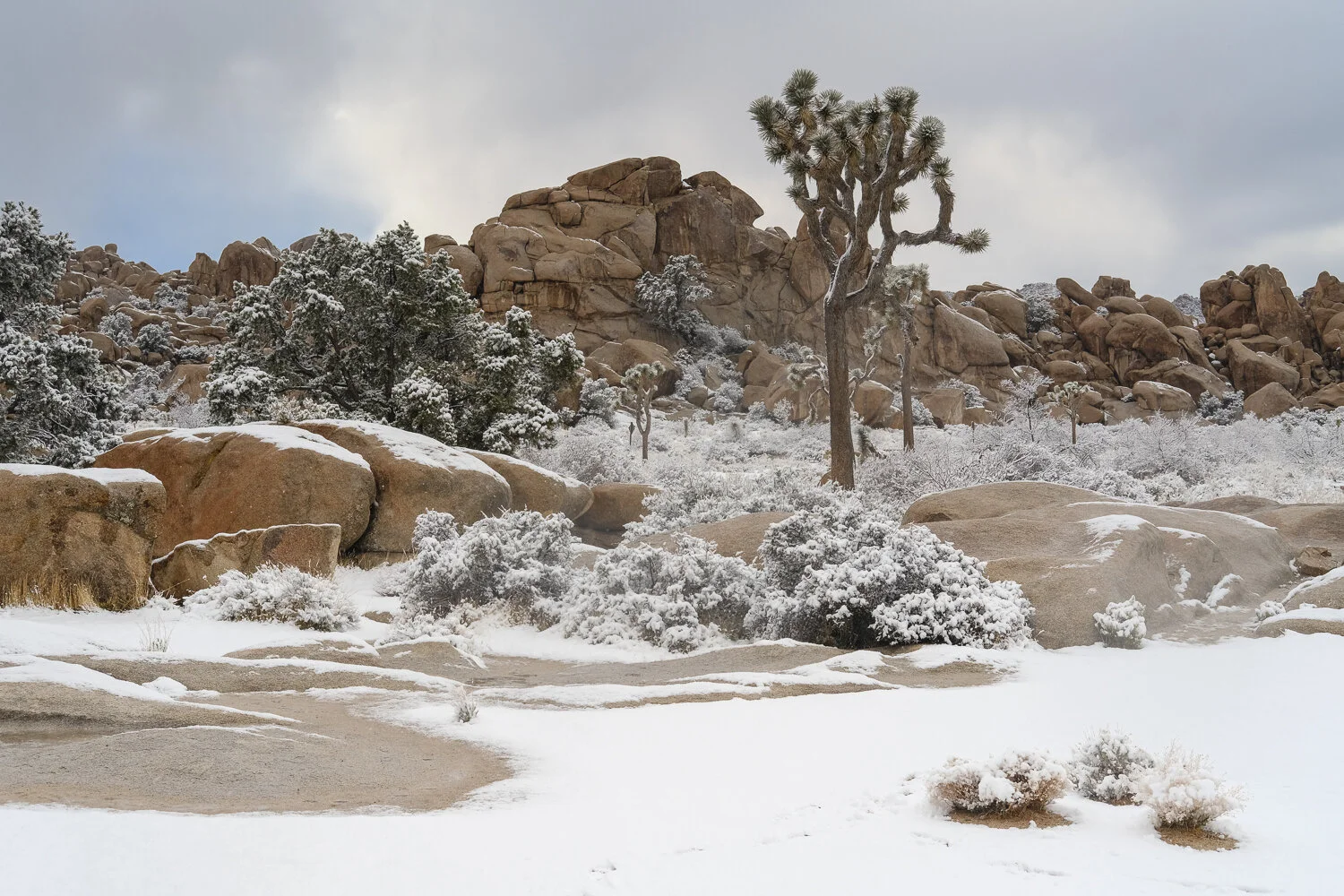 Joshua Tree National Park